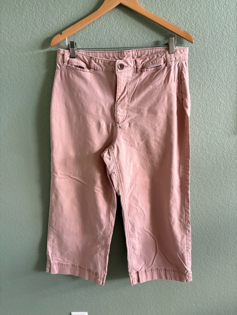 Pink Cropped Chino Pants 12P